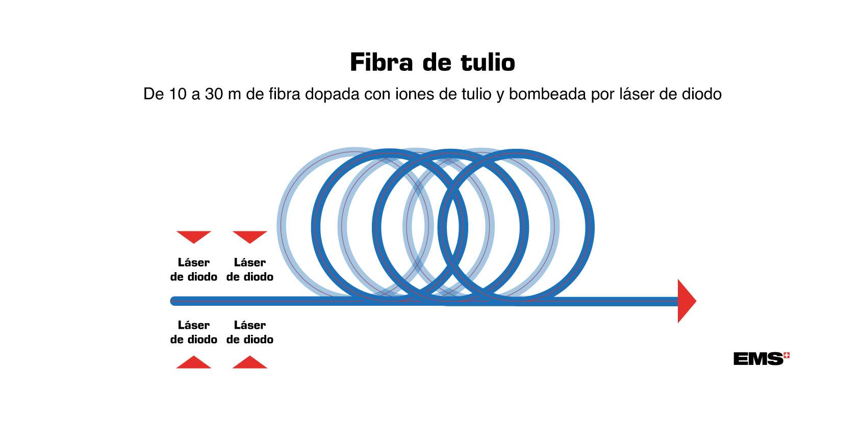 tm fiber image