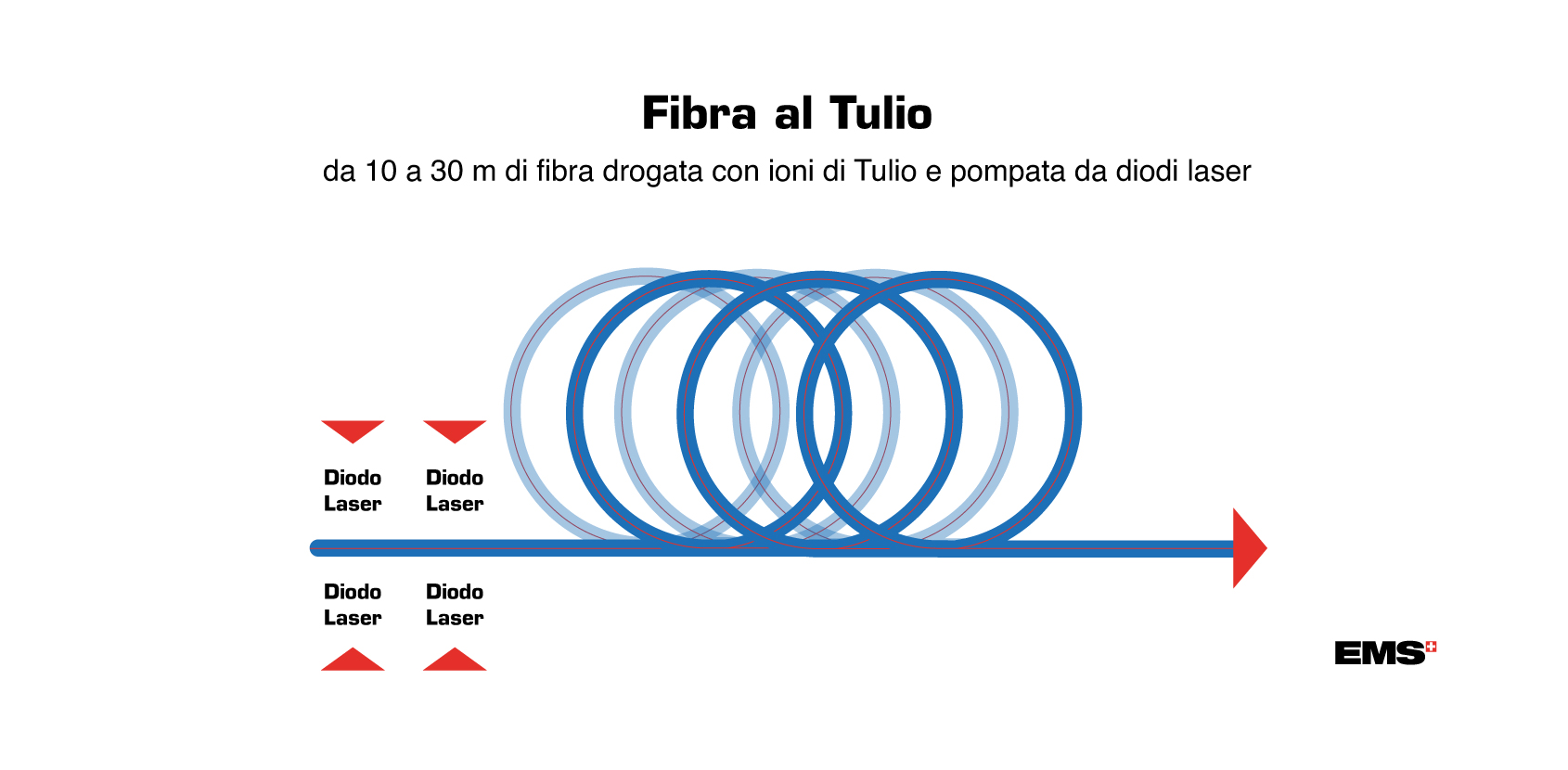 tm fiber image