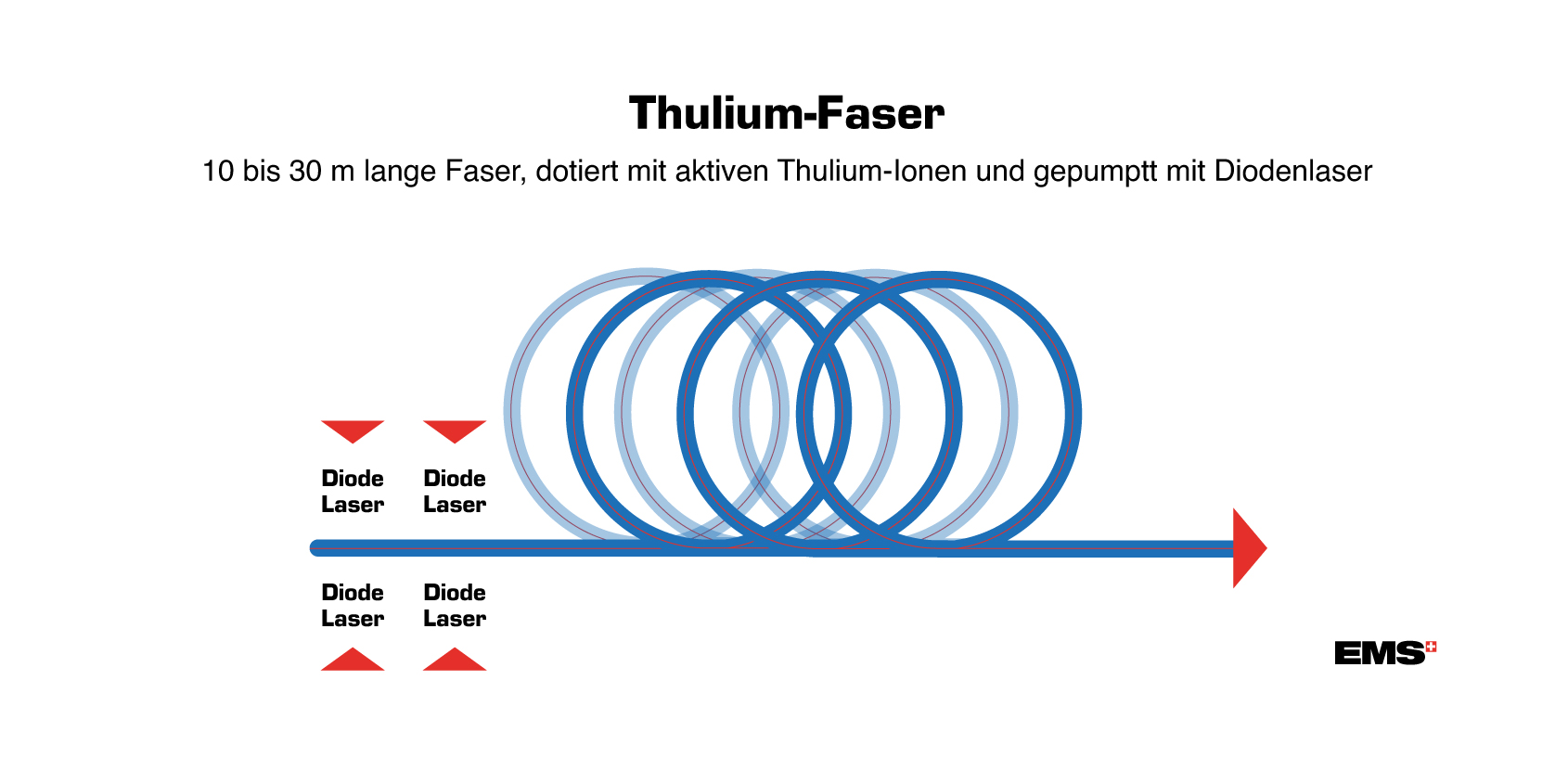 tm fiber image